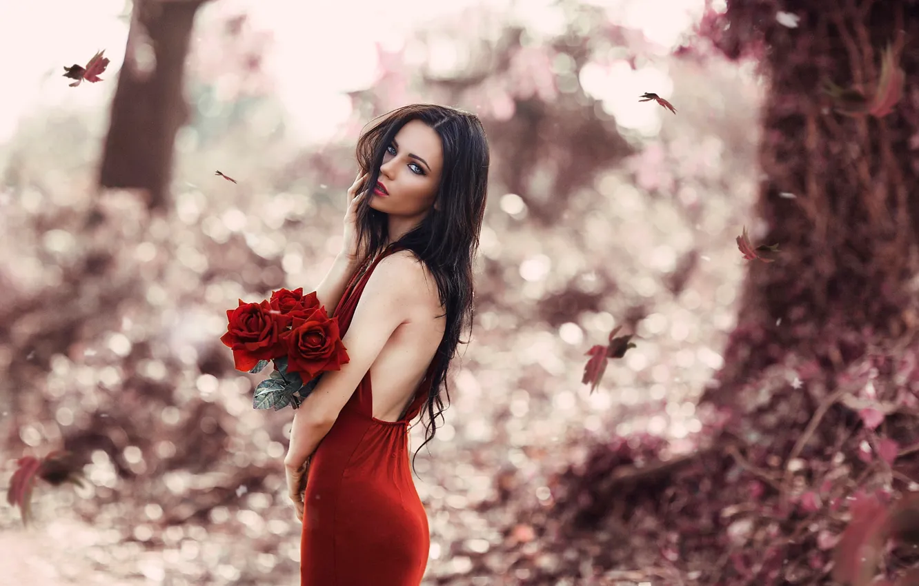 Photo wallpaper autumn, leaves, girl, bouquet, makeup, red dress, red roses, Red Rose