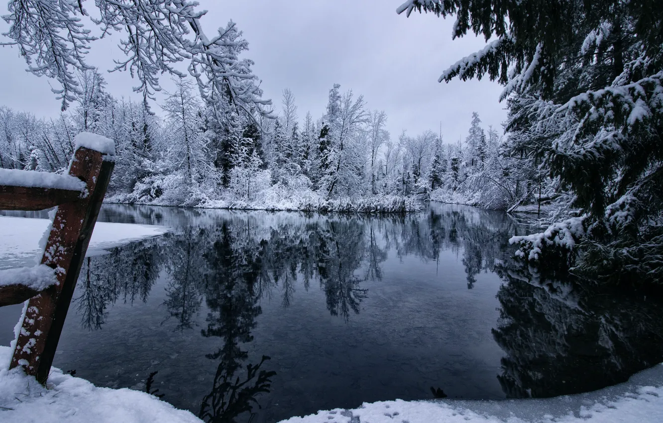 Photo wallpaper snow, trees, reflection, river