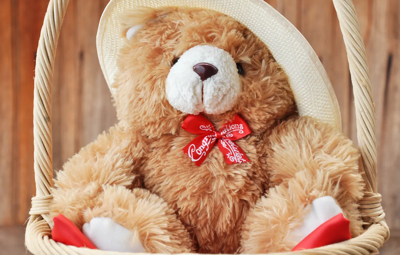Photo wallpaper bear, toy, bear, cute, Teddy