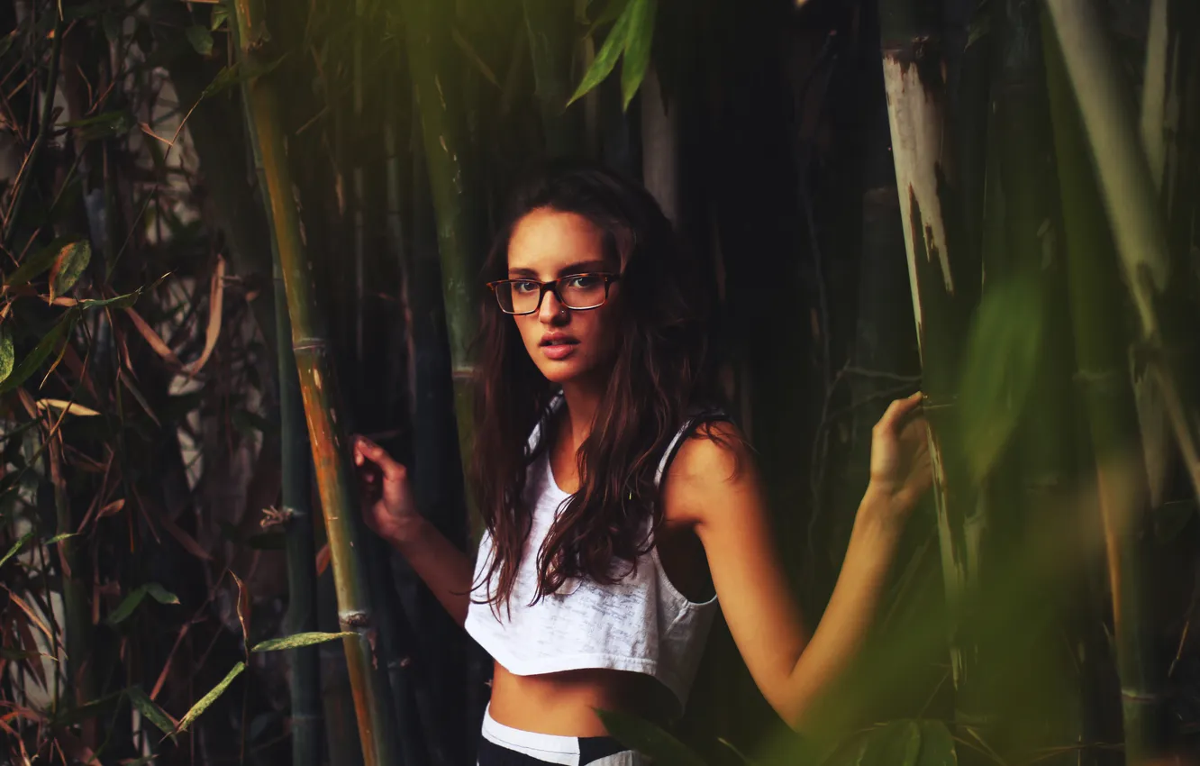 Photo wallpaper girl, bamboo, brunette, glasses
