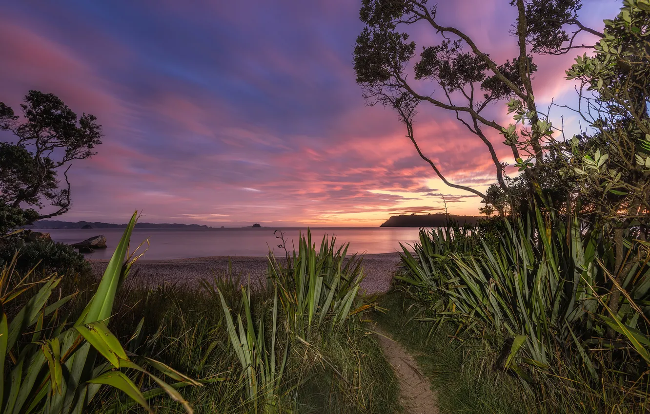 Photo wallpaper the sky, grass, light, trees, landscape, night, lake, path