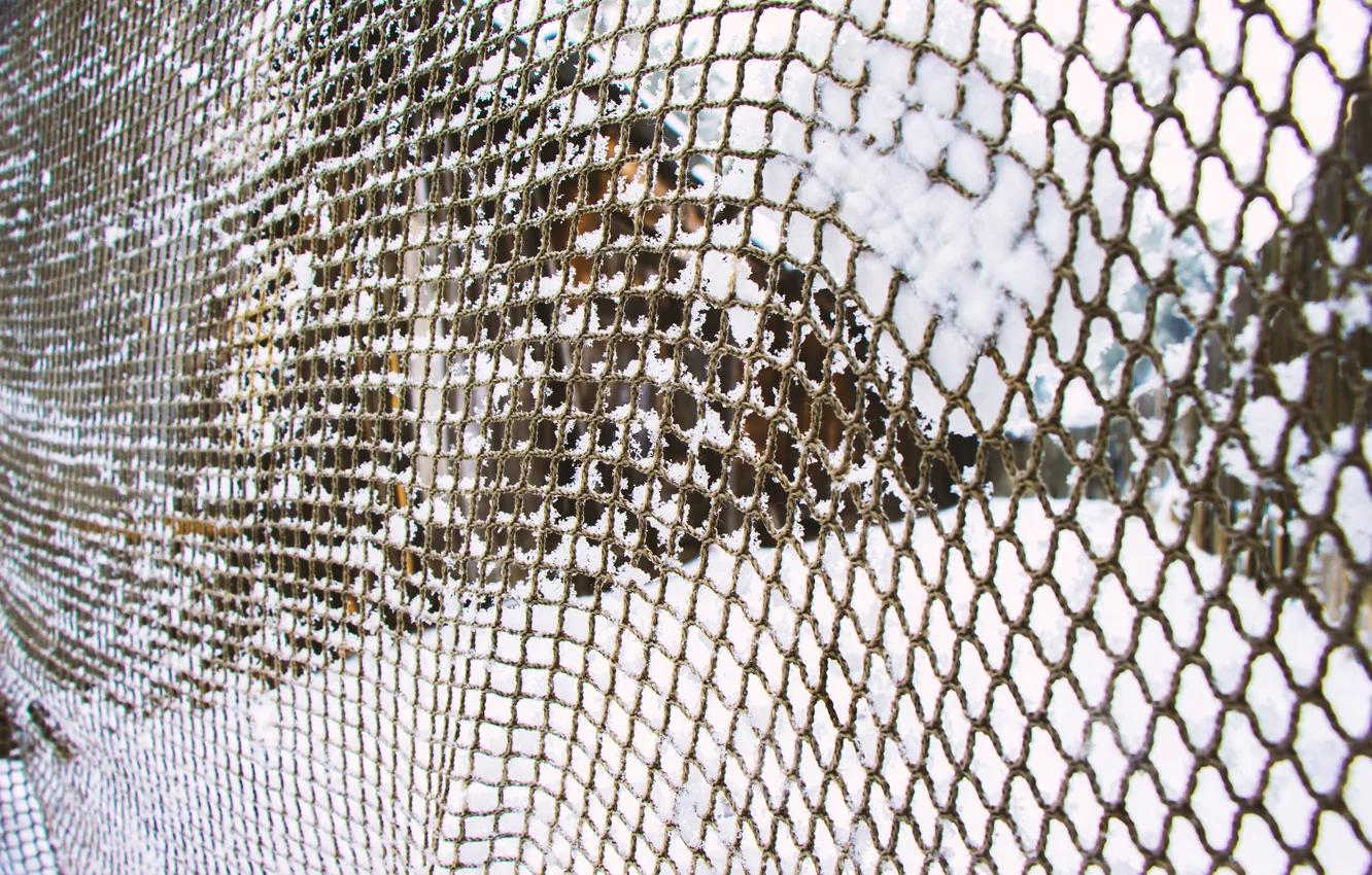 Photo wallpaper mesh, the fence, building, snow.