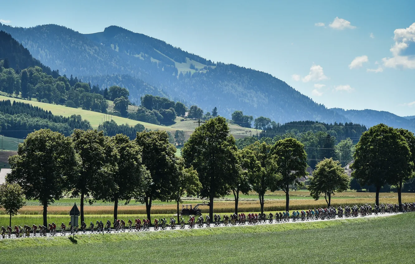 Photo wallpaper sport, France, Alps, athlete, cyclist, platoon, The peloton, The tour de France