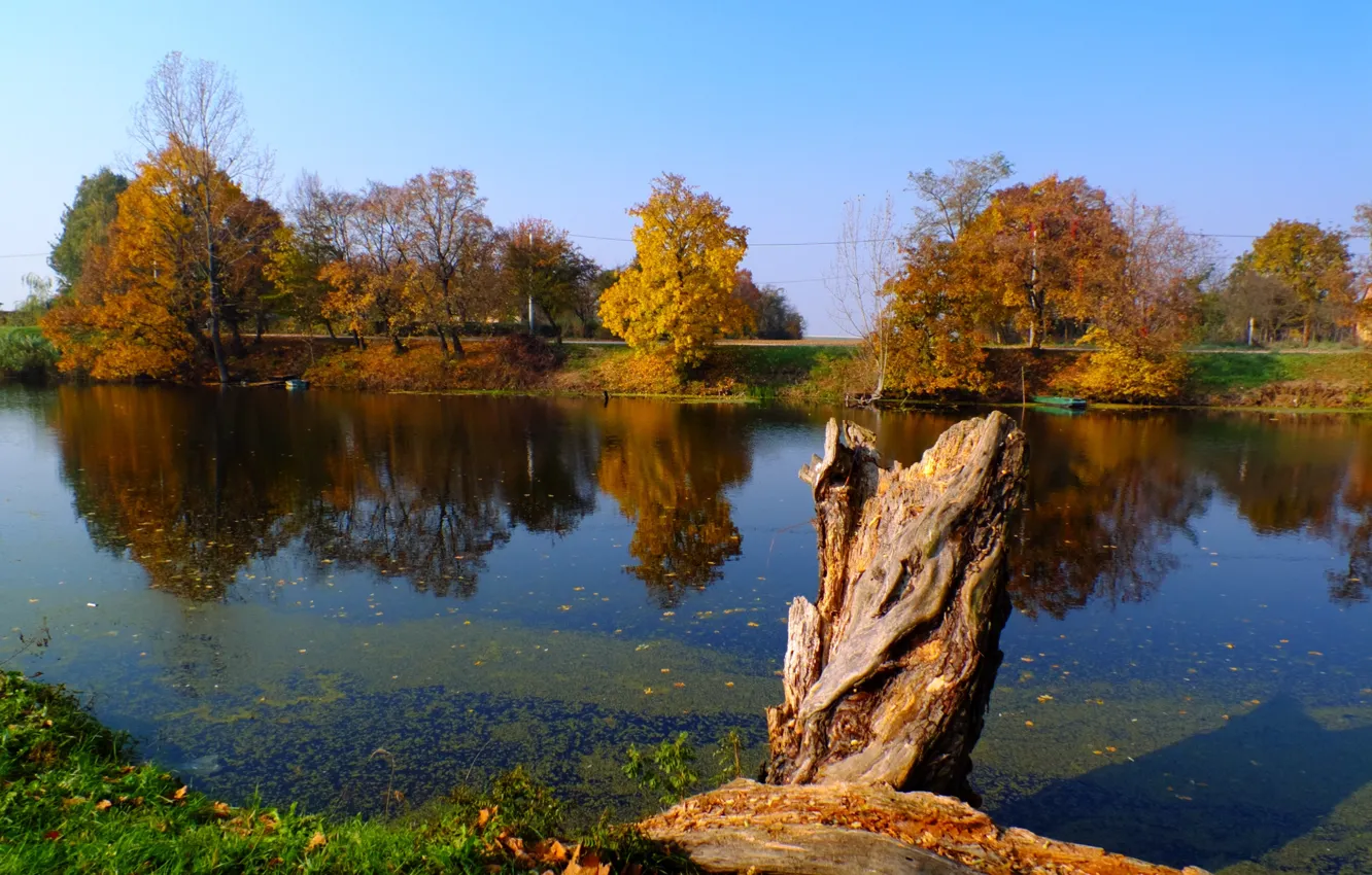 Photo wallpaper river, yellow, blue, autumn