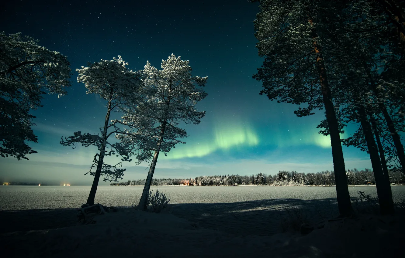 Photo wallpaper winter, frost, field, forest, the sky, stars, light, snow