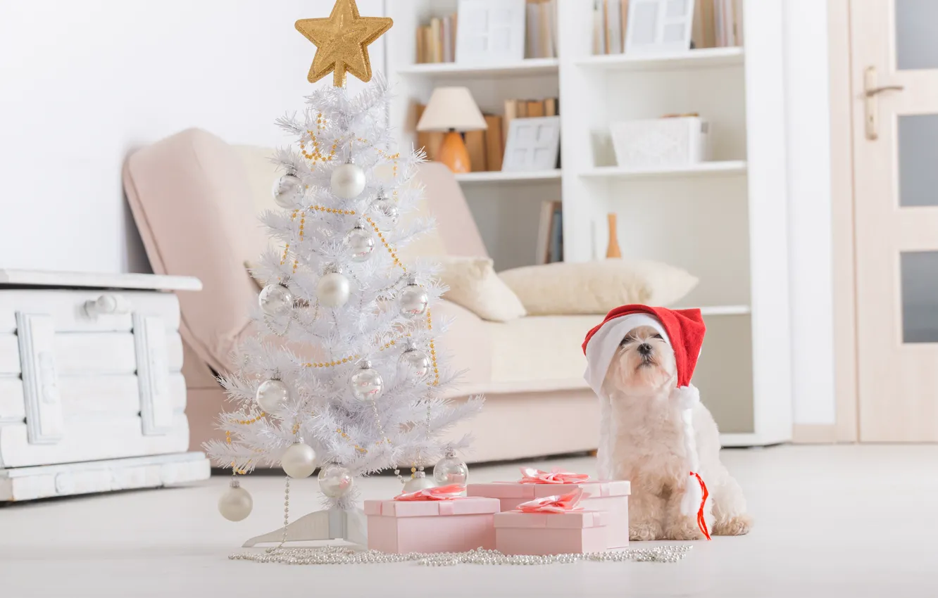 Photo wallpaper holiday, new year, Christmas, dog, christmas, new year