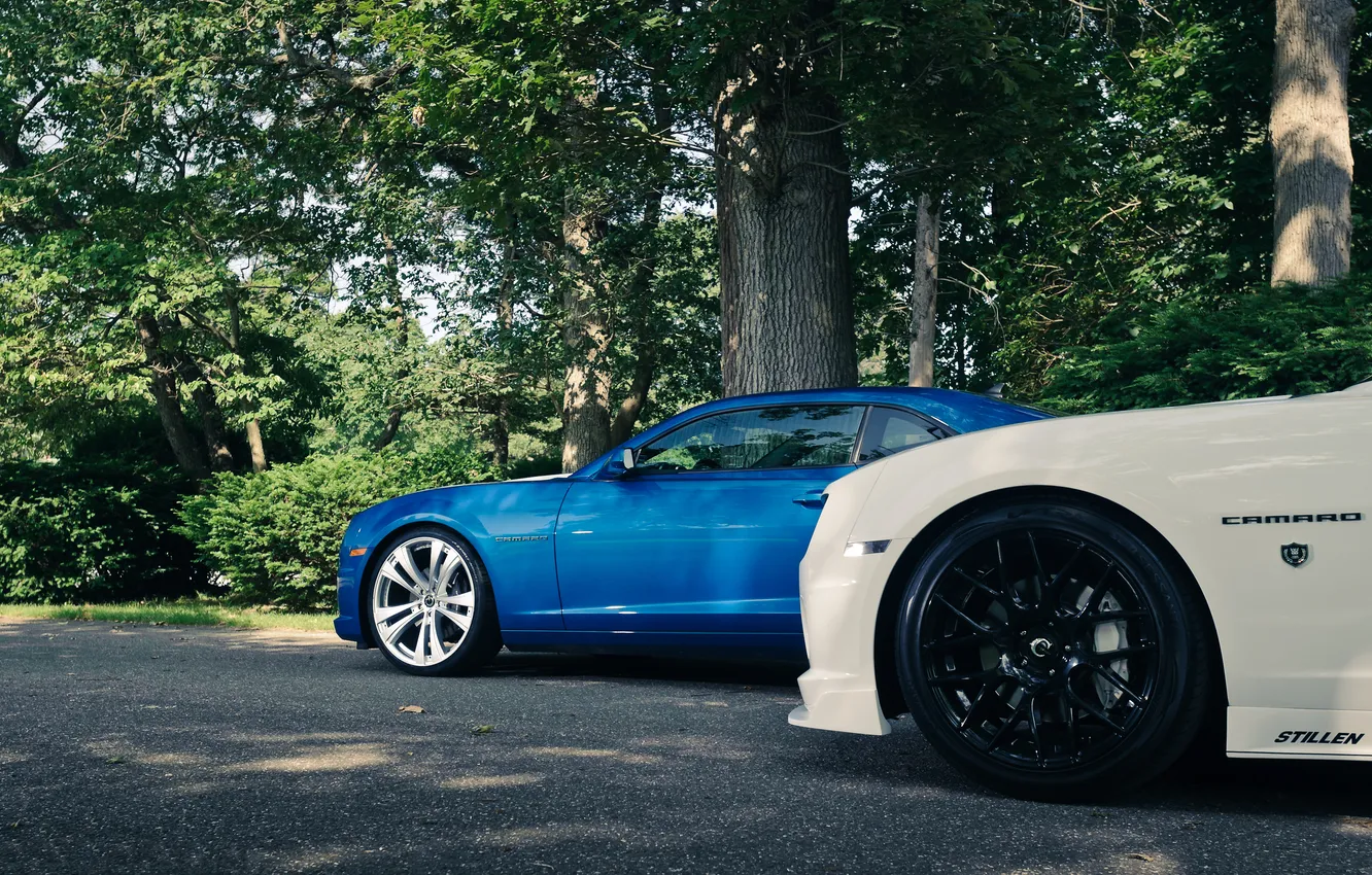 Photo wallpaper white, trees, blue, Chevrolet, Camaro, white, Chevrolet, blue