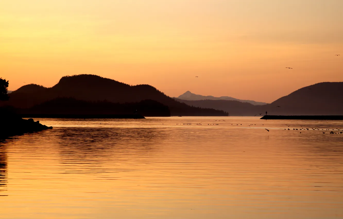 Photo wallpaper sunset, mountains, nature, bird, the evening, Bay, Alaska, sunset