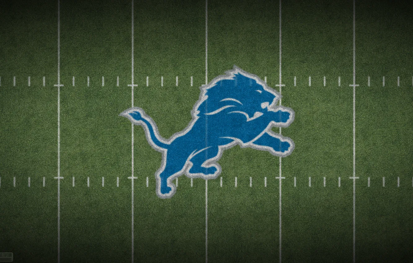 Photo wallpaper logo, Detroit, nfl, Lions, Detroit Lions, American Foot