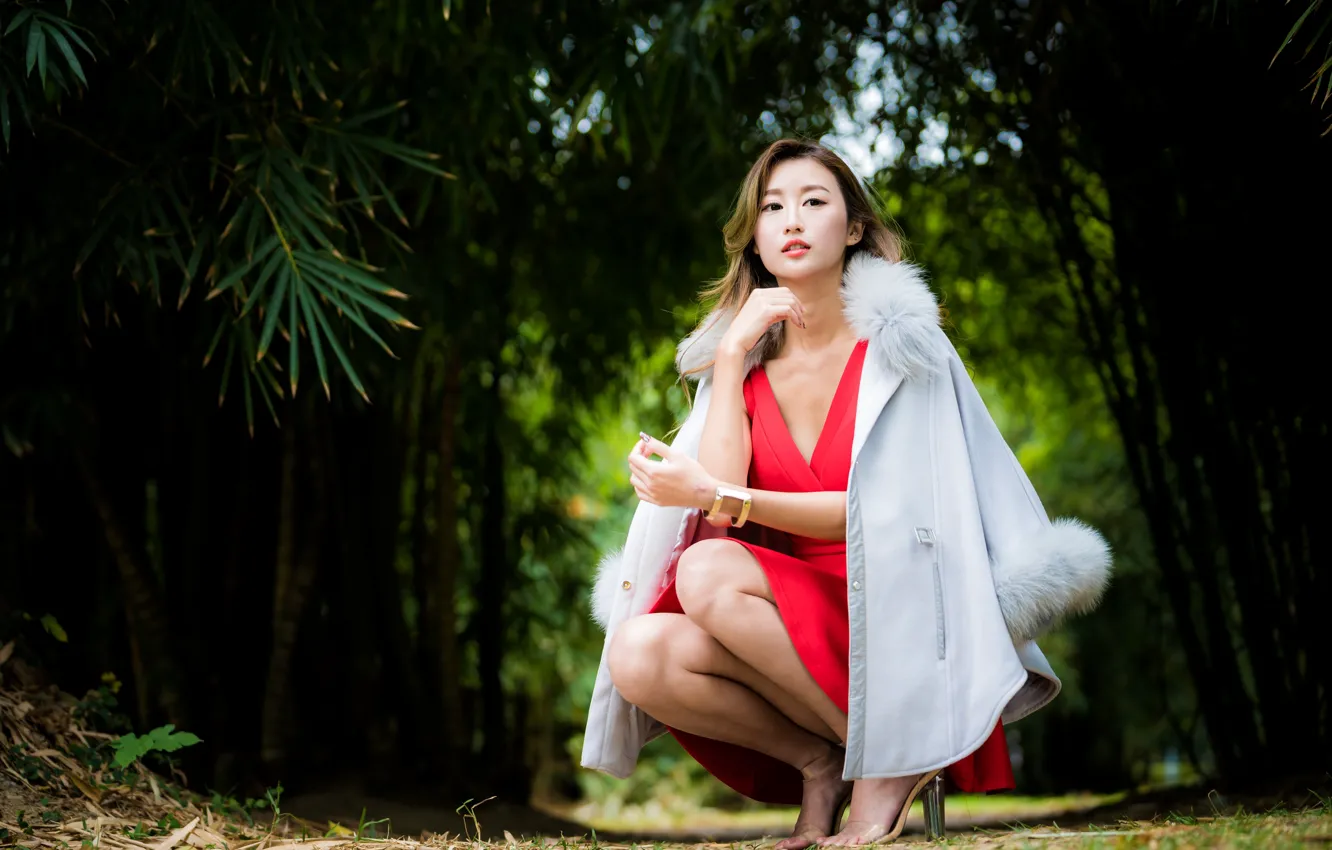 Photo wallpaper girl, dress, legs, Asian, bokeh