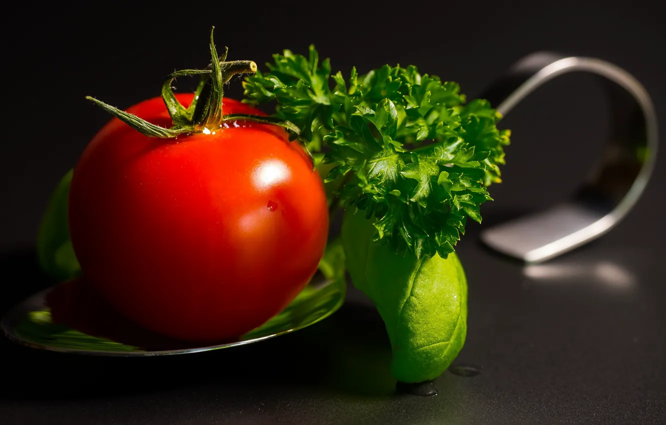 Photo wallpaper macro, tomatoes, parsley