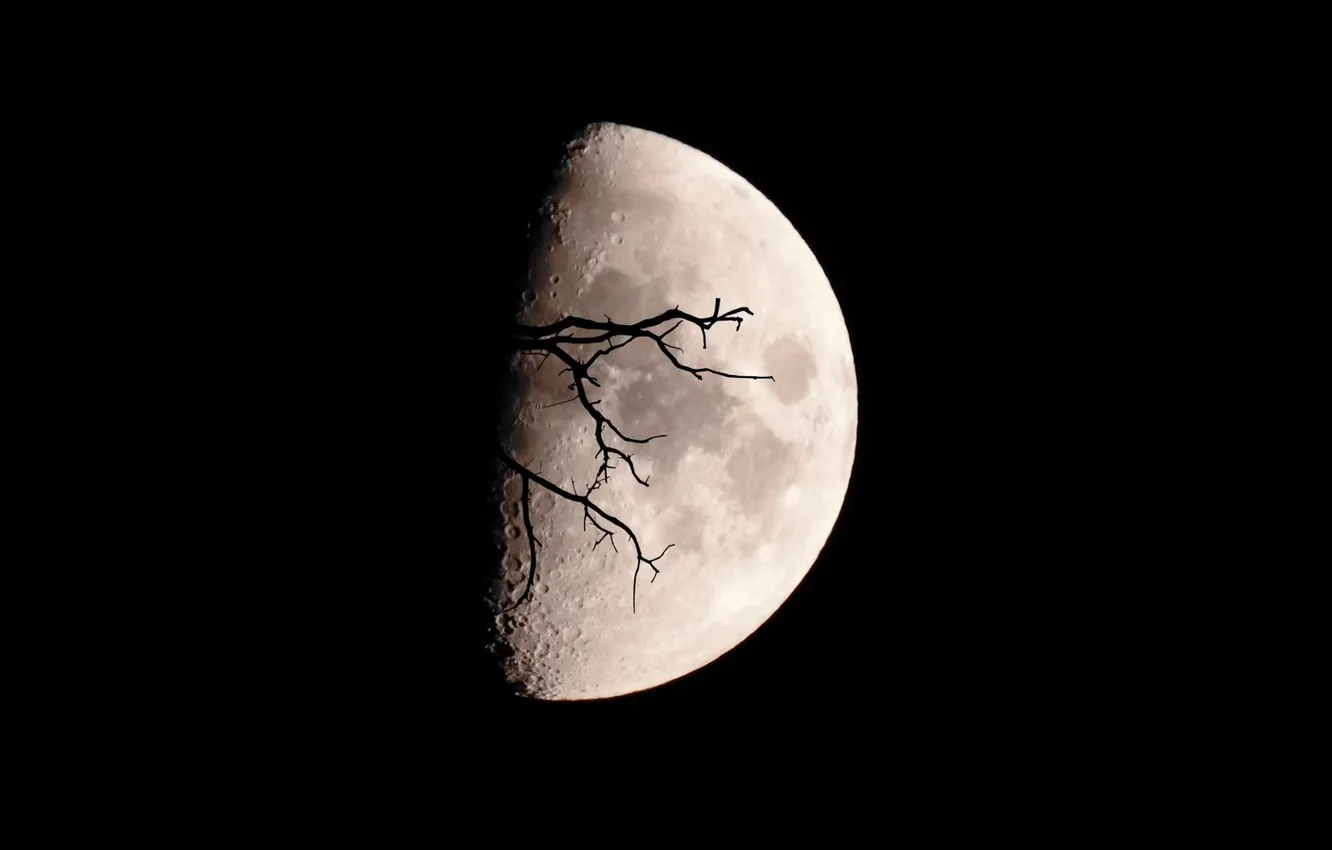 Photo wallpaper moon, nature, darknes