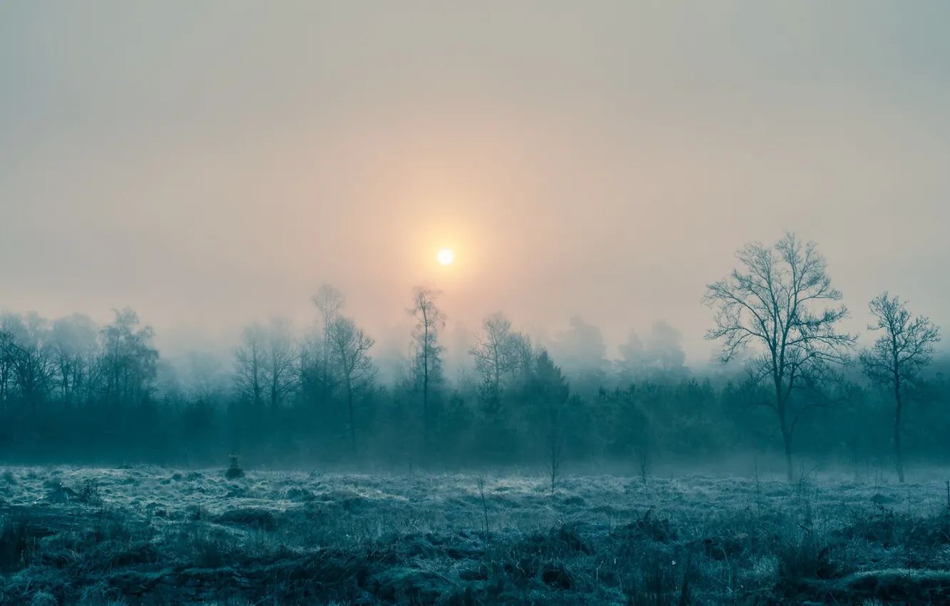 Photo wallpaper landscape, fog, morning