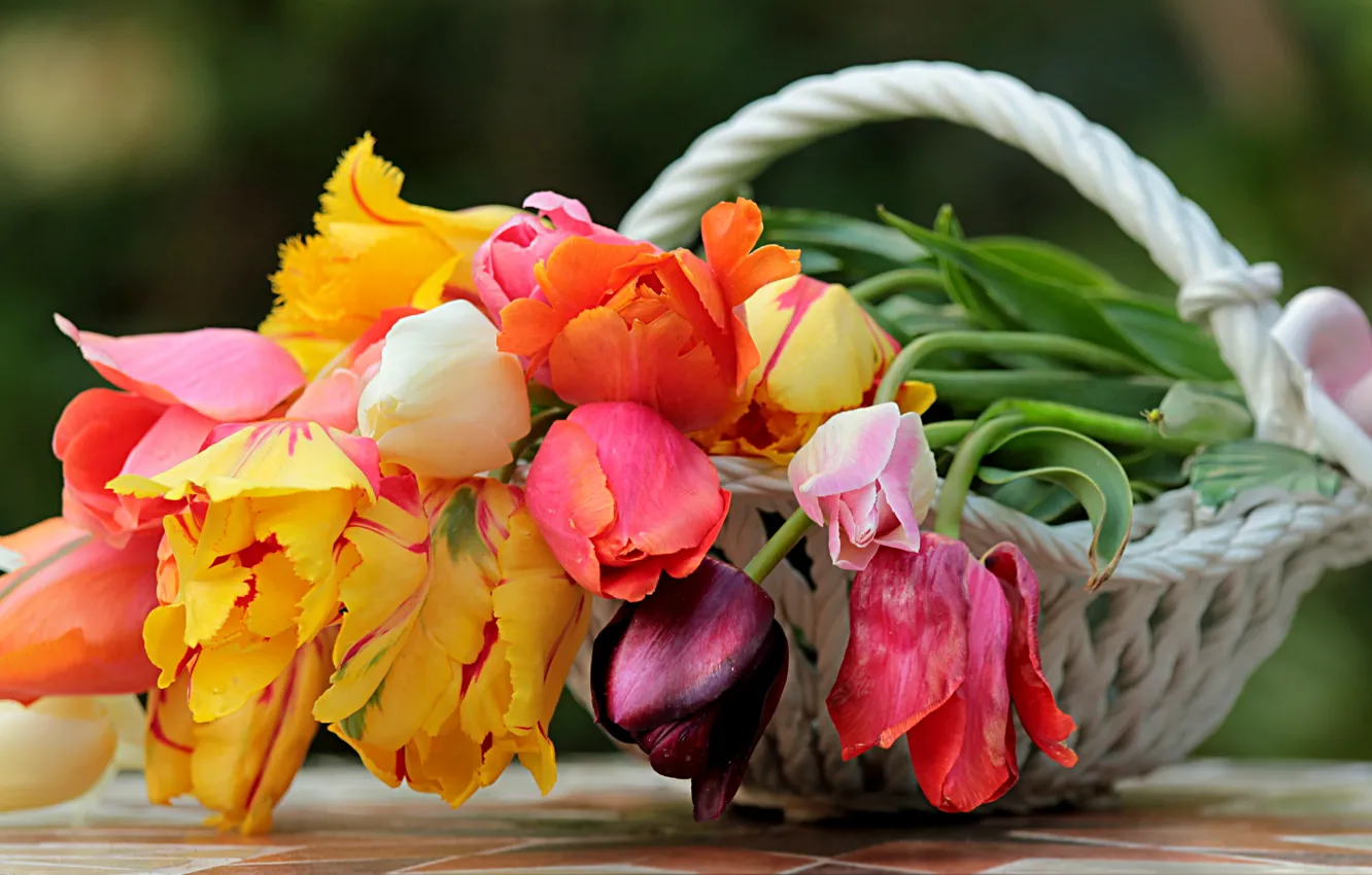 Photo wallpaper flowers, basket, spring, tulips, vase