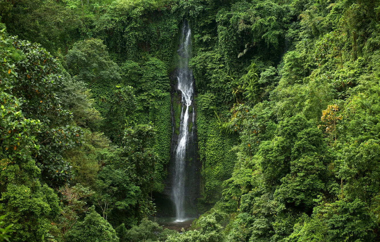 Photo wallpaper green, forest, landscape, jungle, waterfall