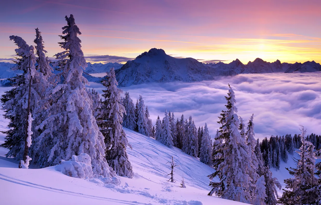 Photo wallpaper winter, the sky, clouds, snow, trees, mountains, nature, fog