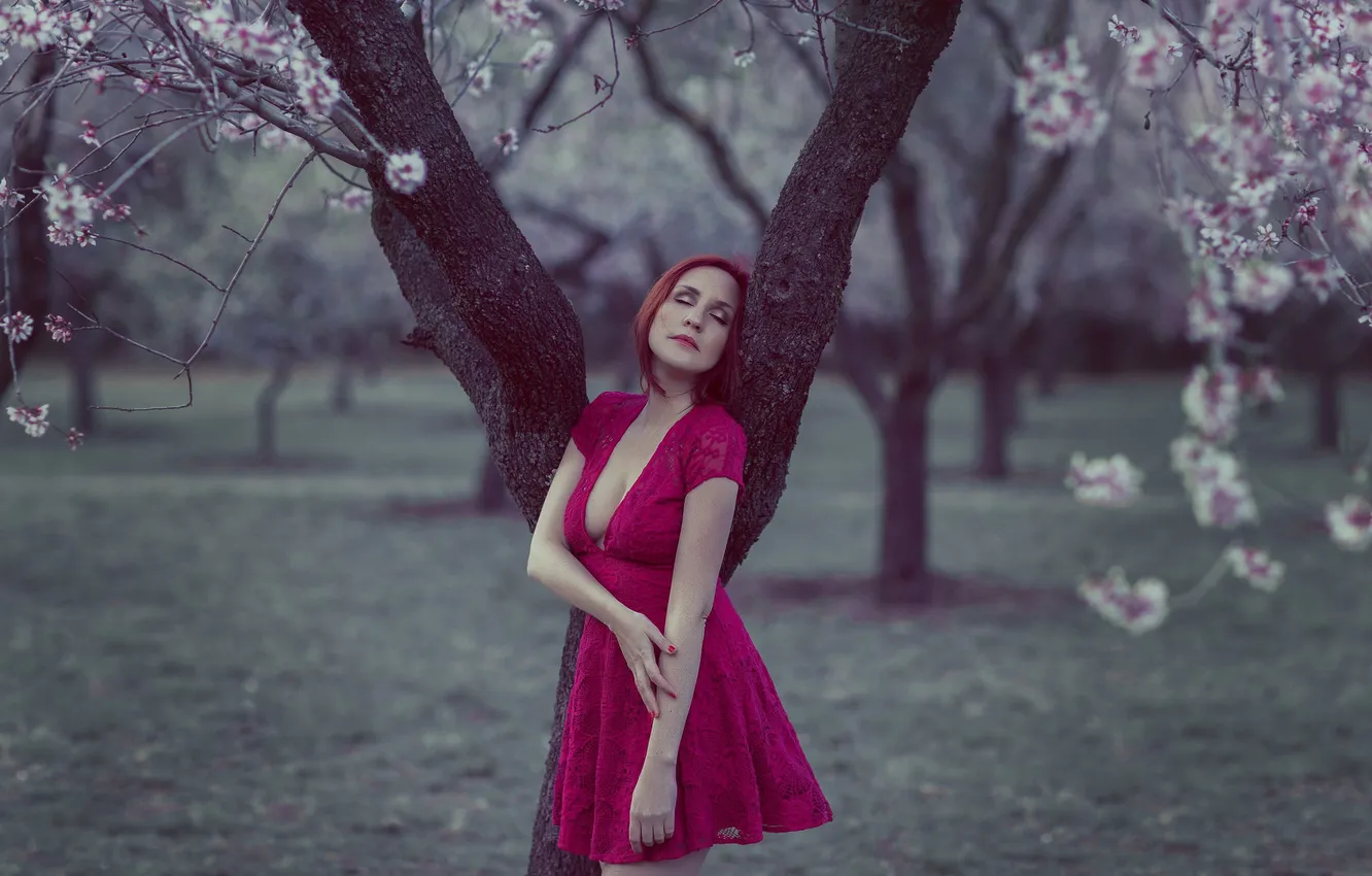 Photo wallpaper girl, trees, face, fee