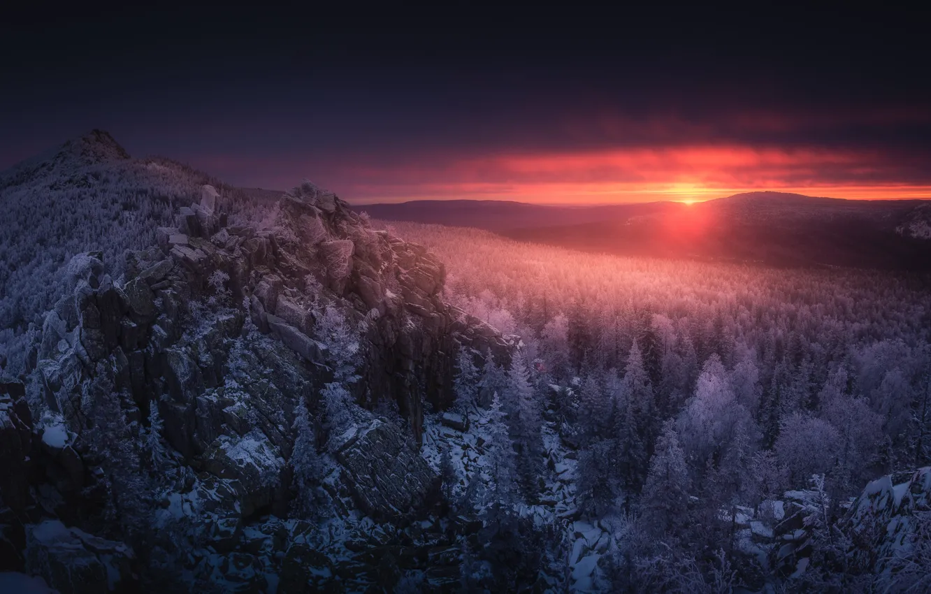 Photo wallpaper wood, winter, mountain, snow, sunlight, Sun Goes Down, Daniil Silantev