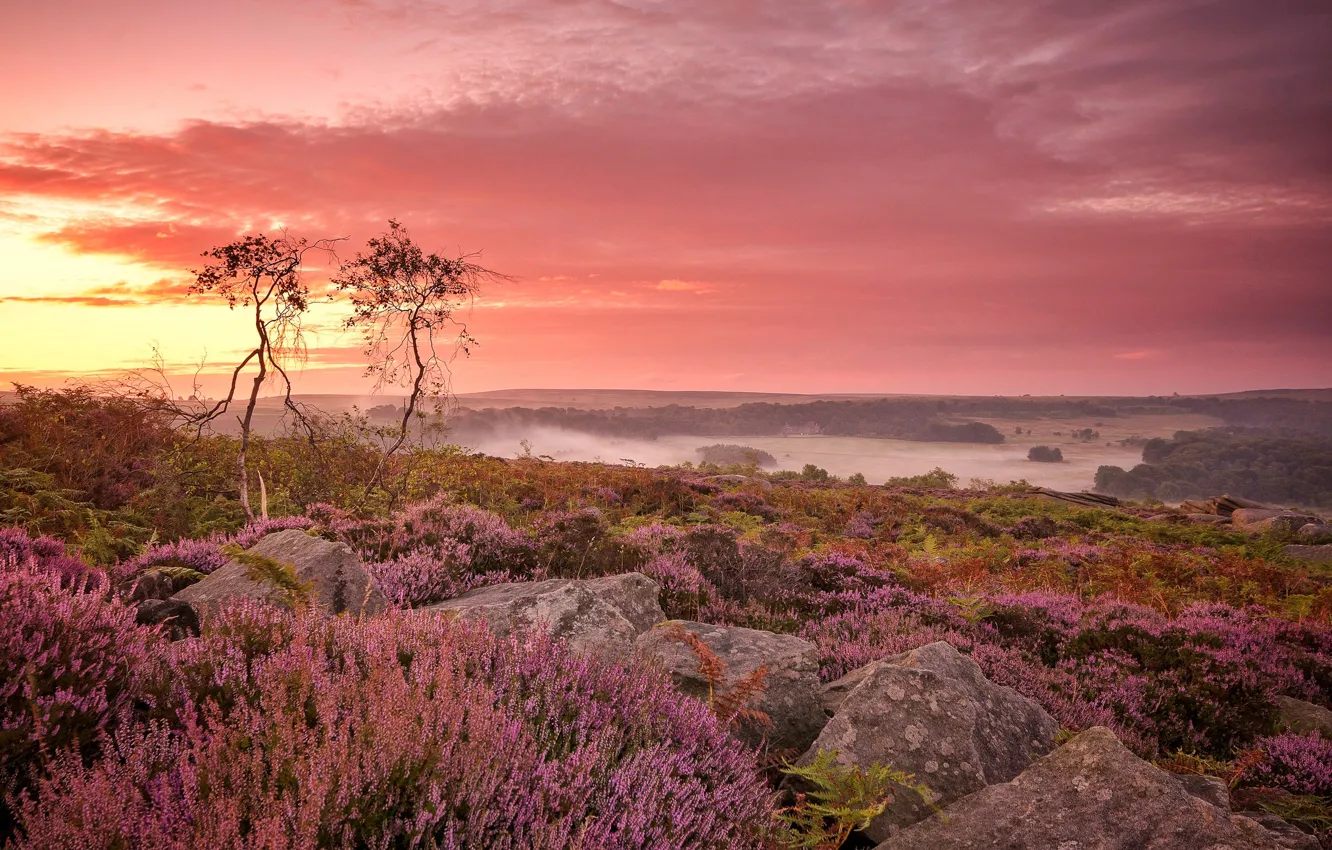 Photo wallpaper clouds, trees, flowers, stones, England, glow, Derbyshire