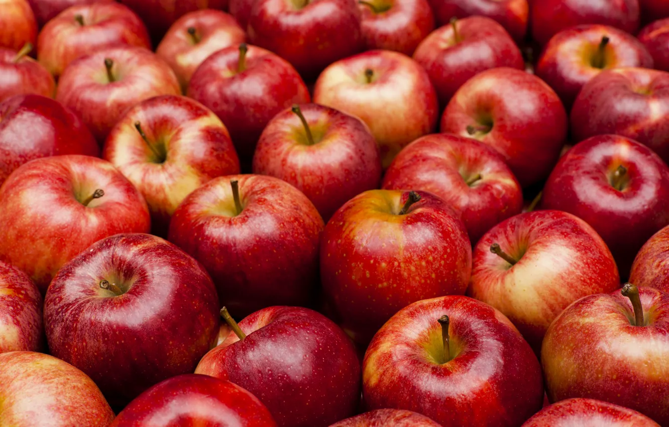 Photo wallpaper apples, harvest, red, a lot