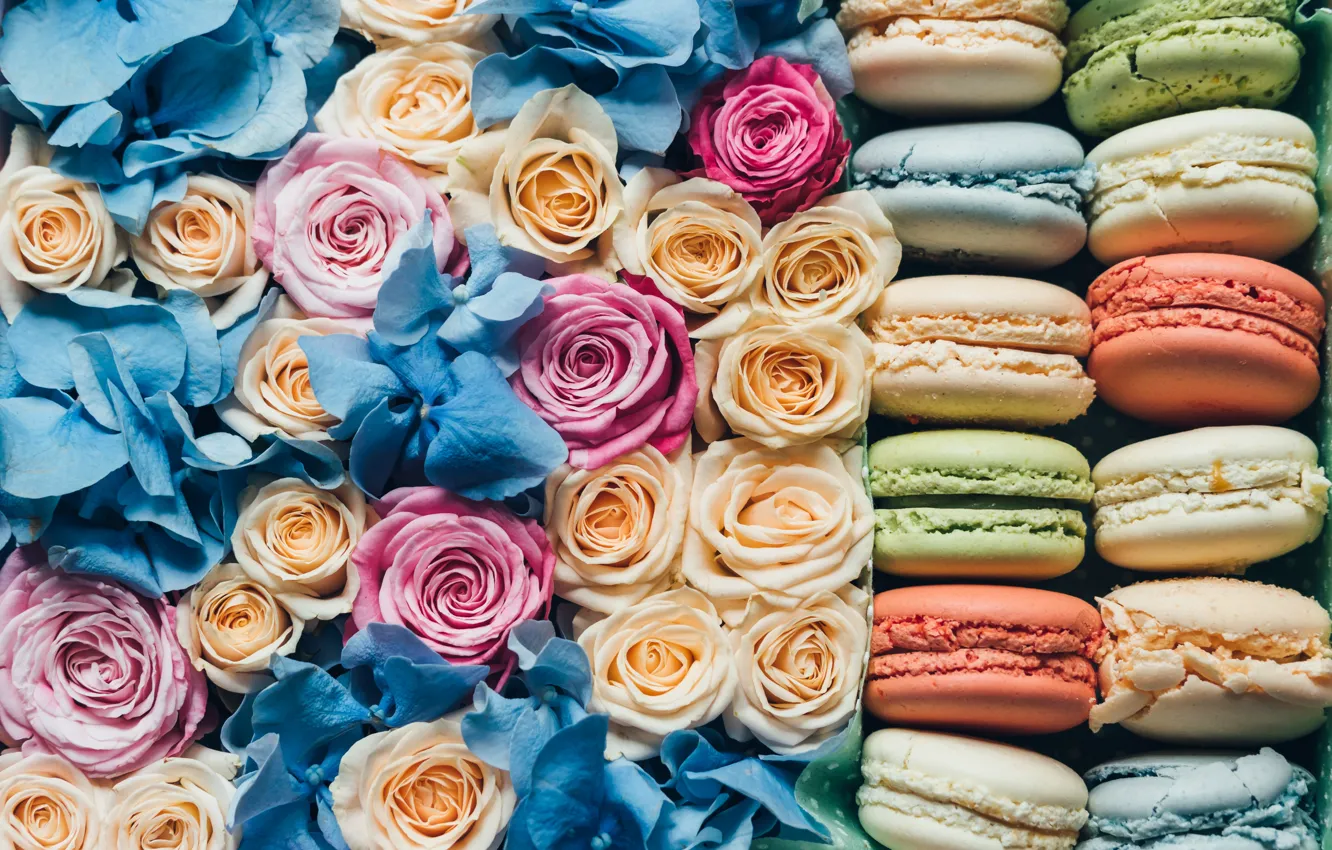 Photo wallpaper roses, cookies, buds, macaroon, korbka