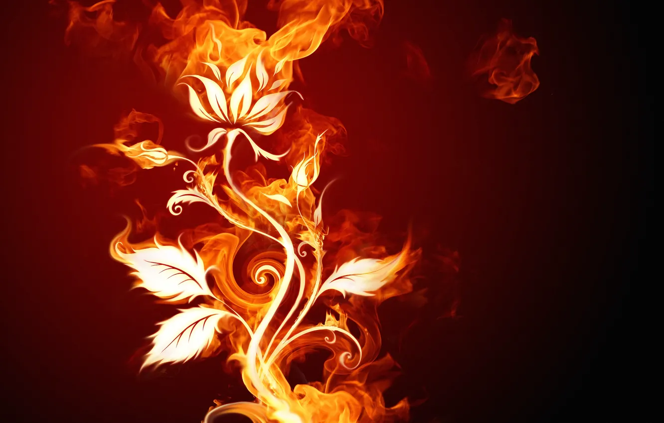 Photo wallpaper flower, fire