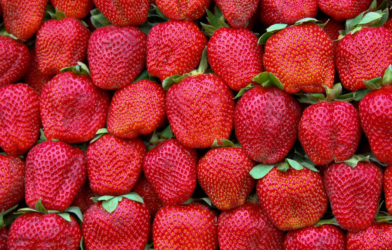 Photo wallpaper green, red, pattern, strawberries