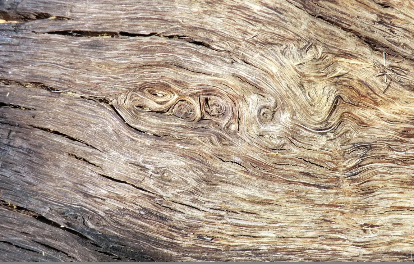 Photo wallpaper abstract, wood, texture