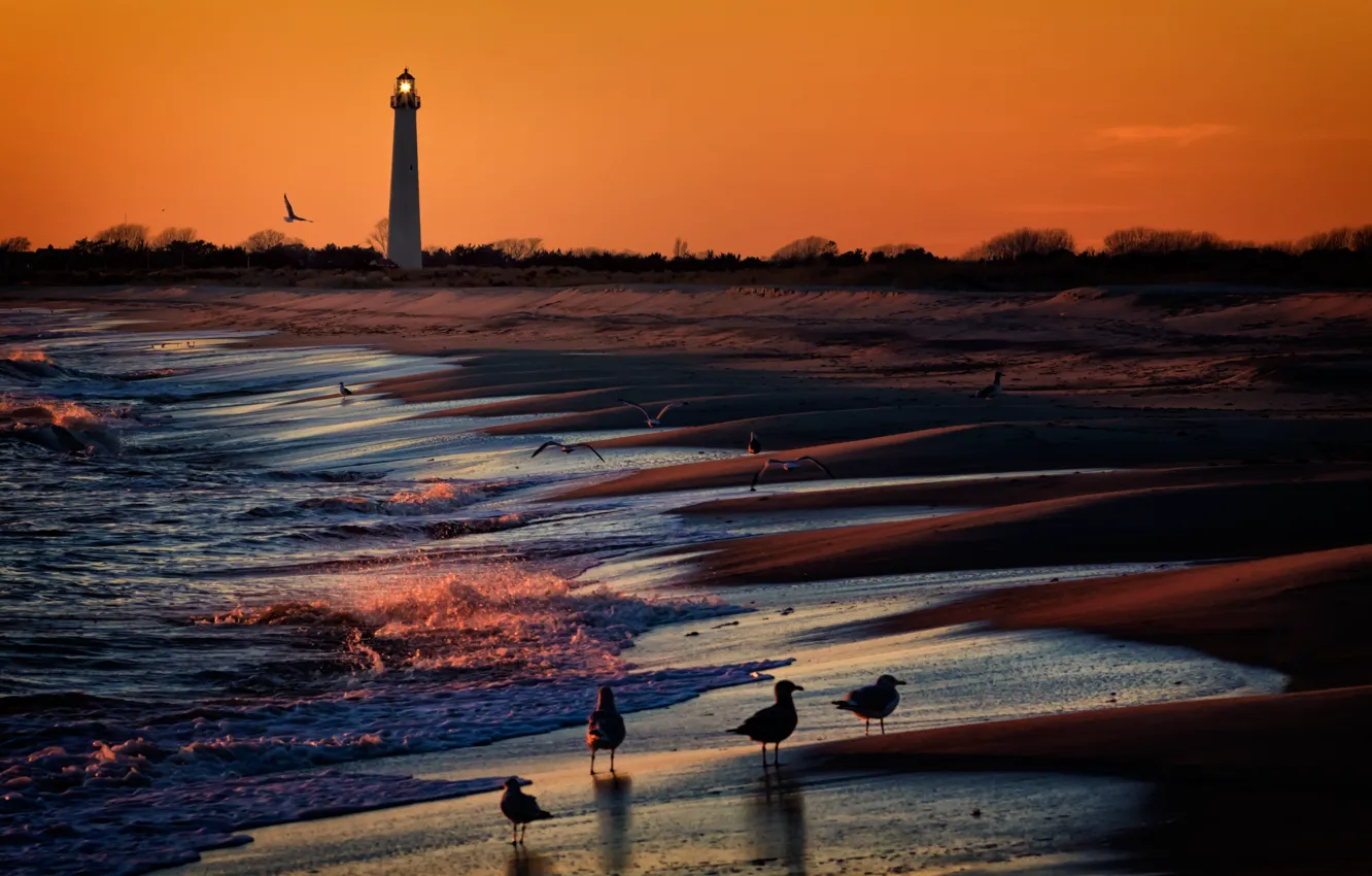 Photo wallpaper sea, sunset, birds, lighthouse, Berg