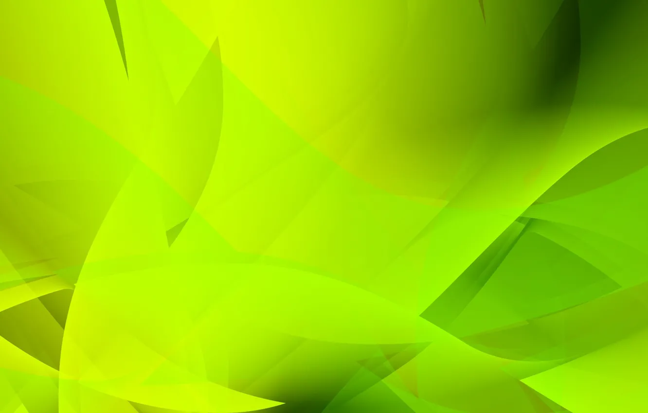 Photo wallpaper abstraction, green, RichterED