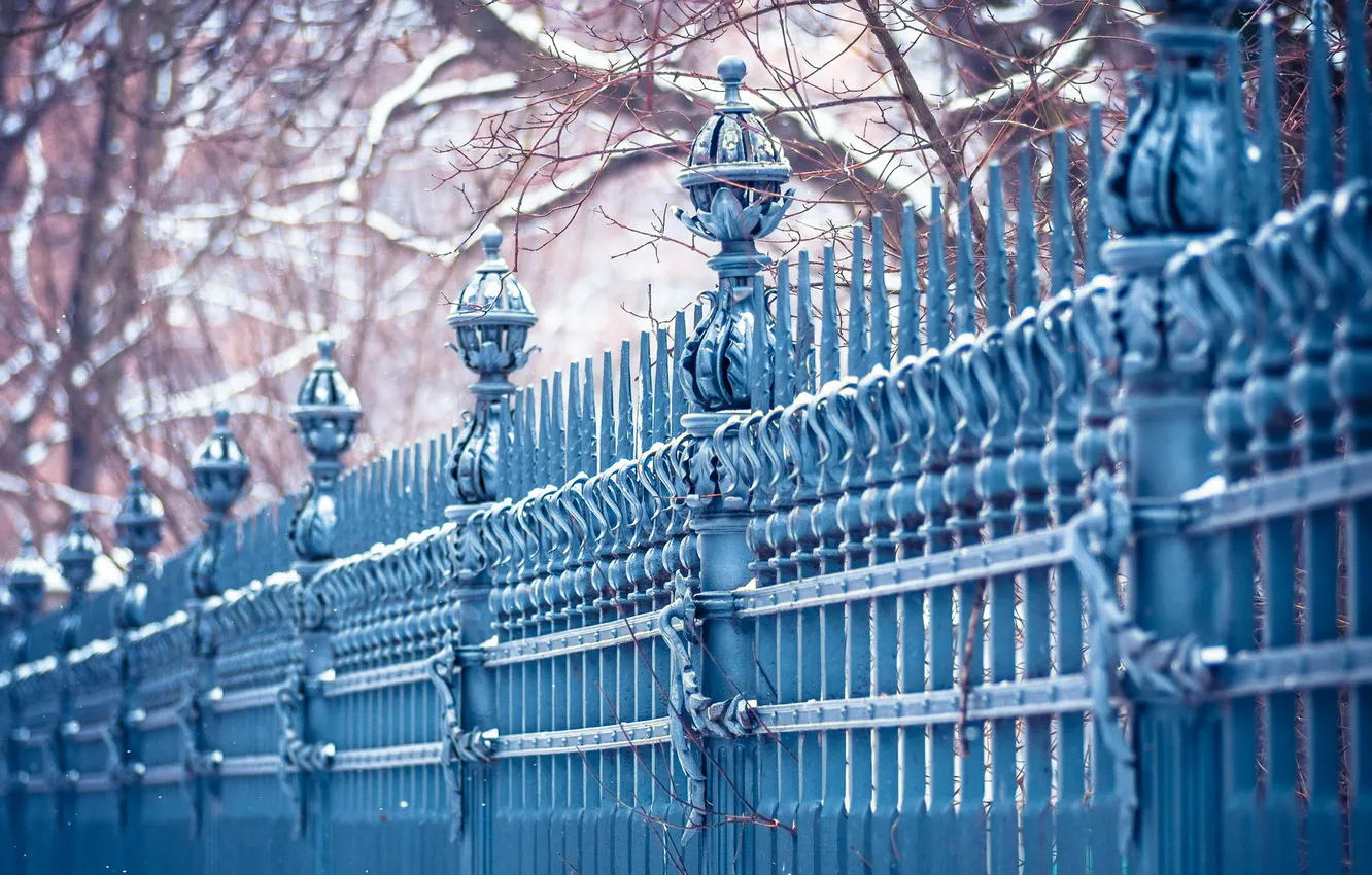 Photo wallpaper city, trees, blue, fence, cold, urban, Leipzig