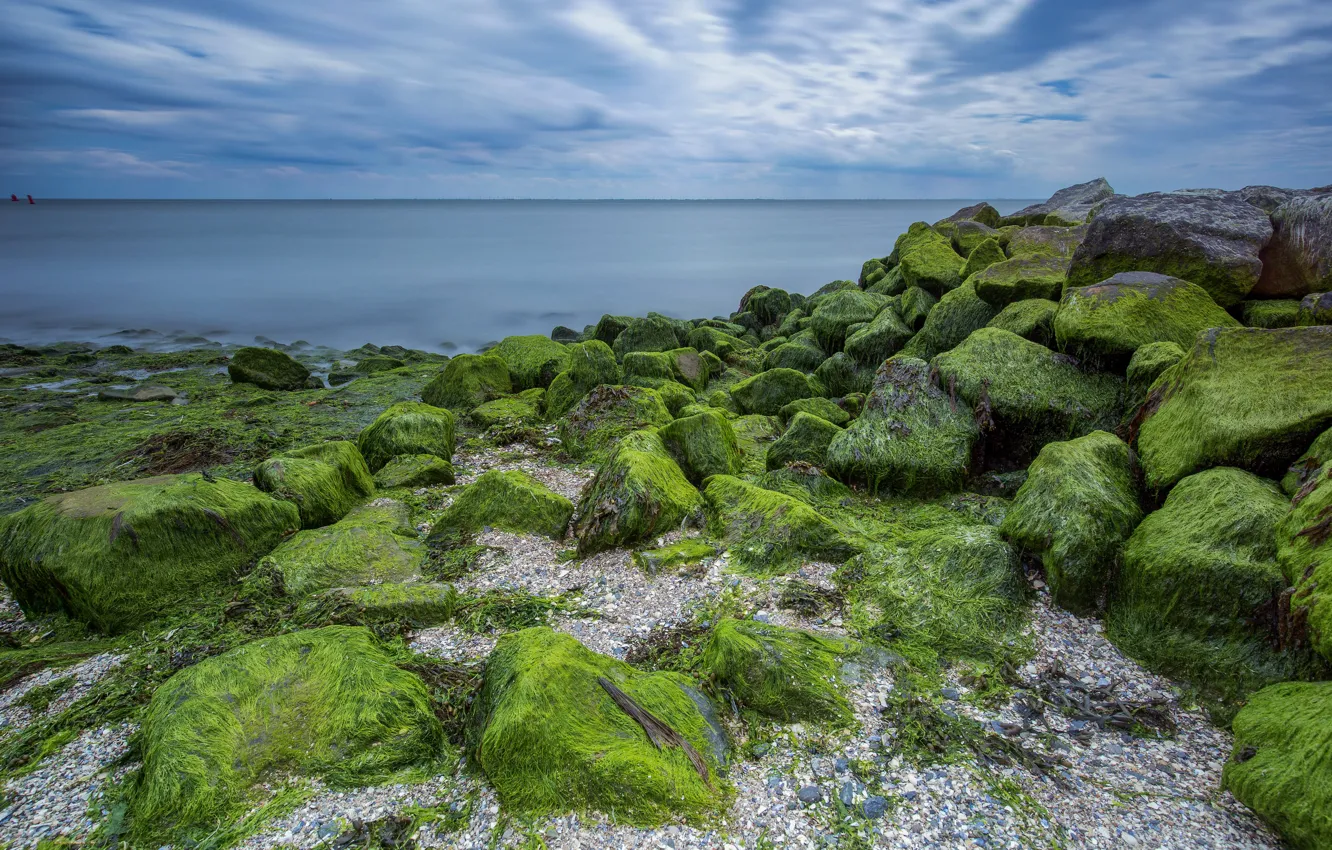 Photo wallpaper stones, coast, moss, Netherlands