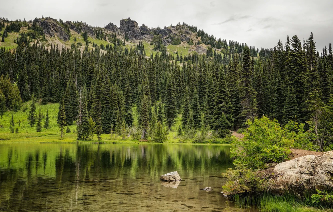 Photo wallpaper forest, lake, hills, tree, ate