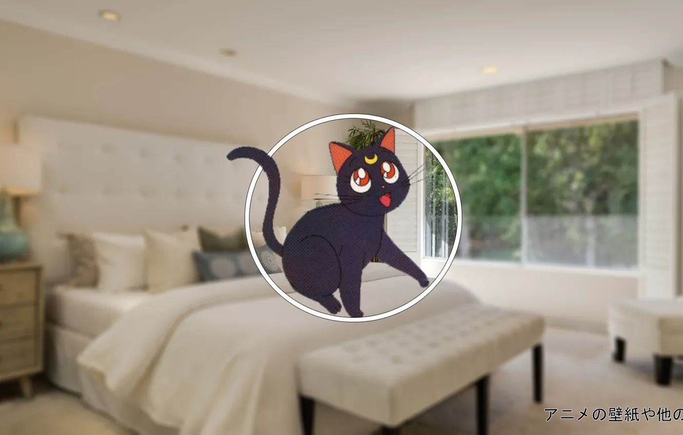 Photo wallpaper cat, room, bed, sailor moon, madskillz