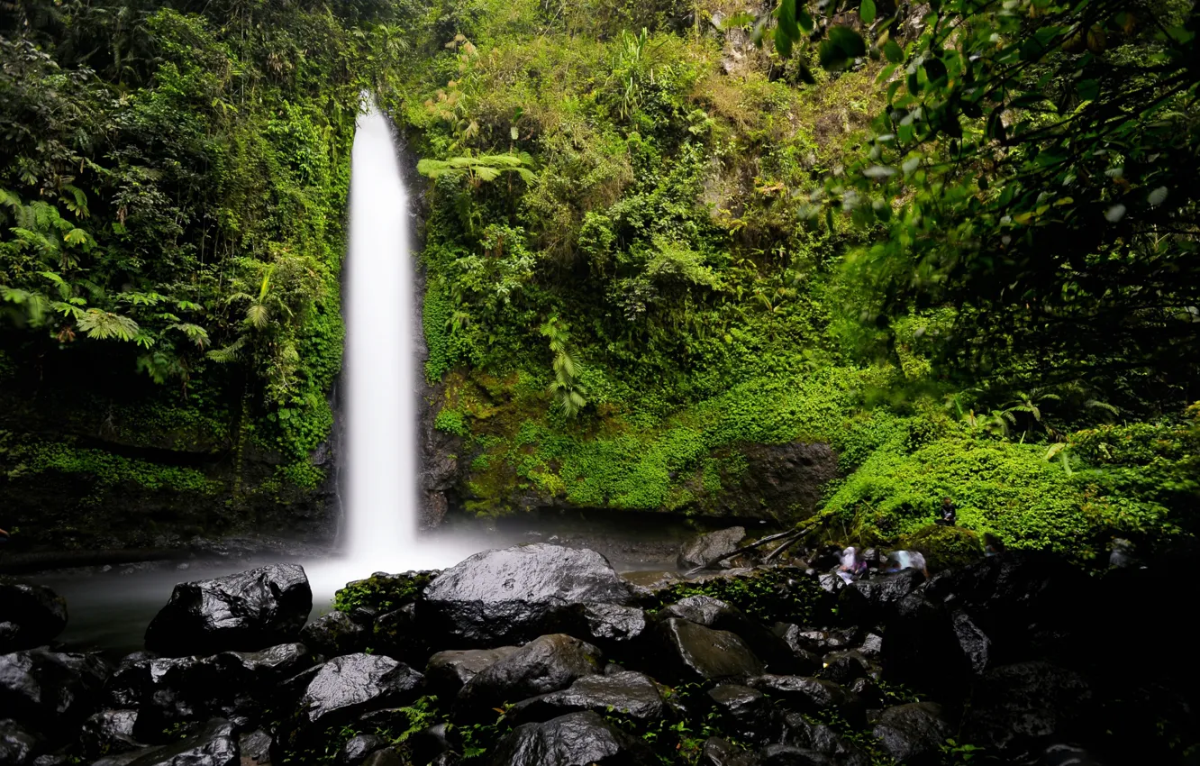 Photo wallpaper waterfall, thickets, forest
