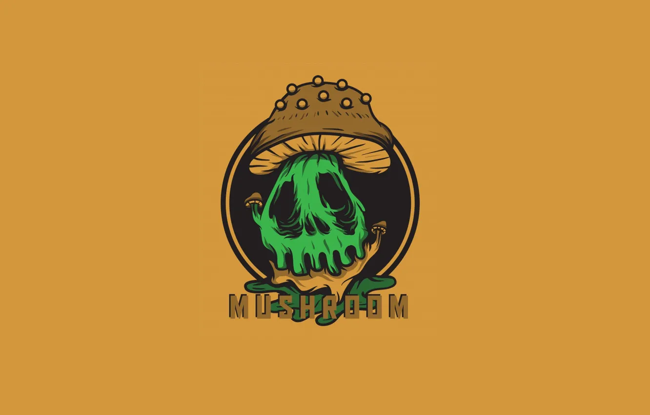 Photo wallpaper mushrooms, skull, mesinpagi