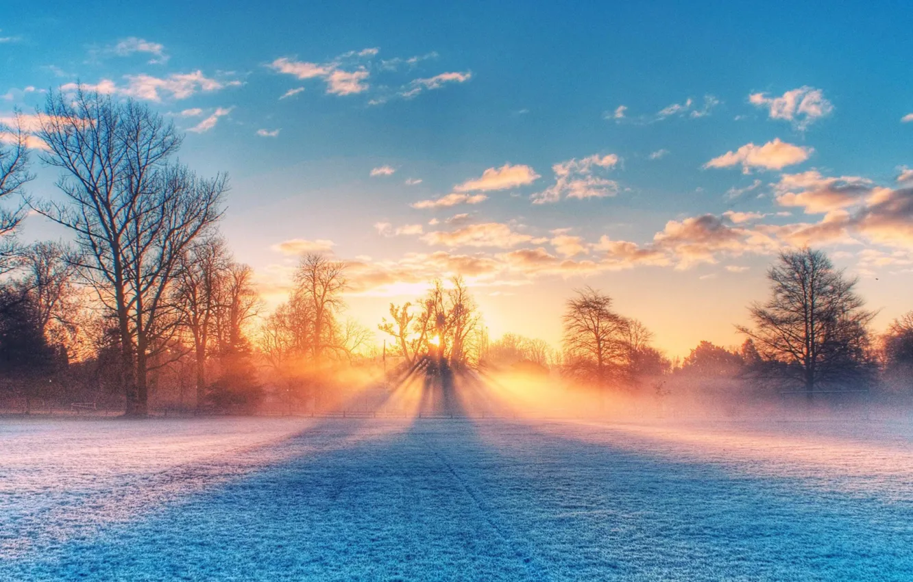 Photo wallpaper field, nature, sunset, sunlight, winter scenery