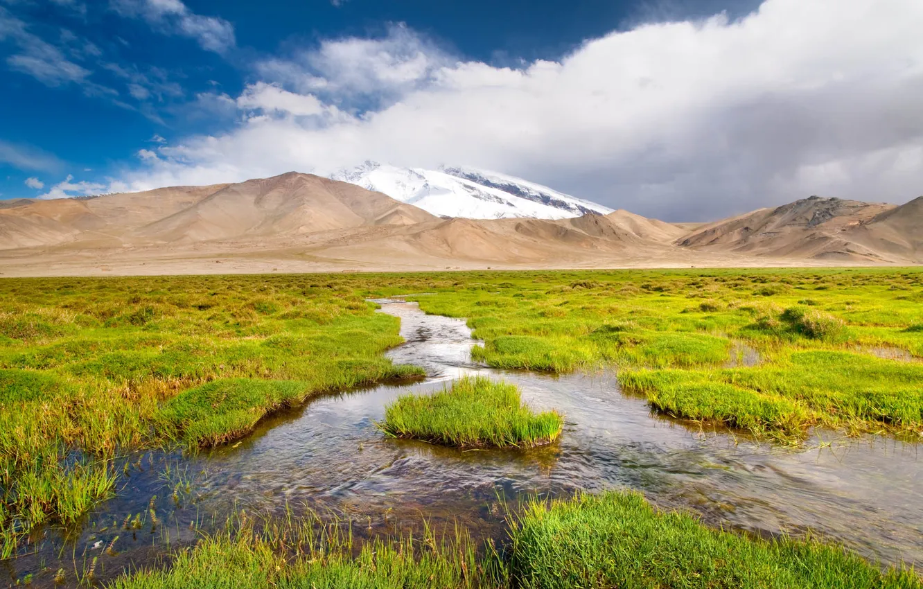Photo wallpaper grass, landscape, mountains, stream