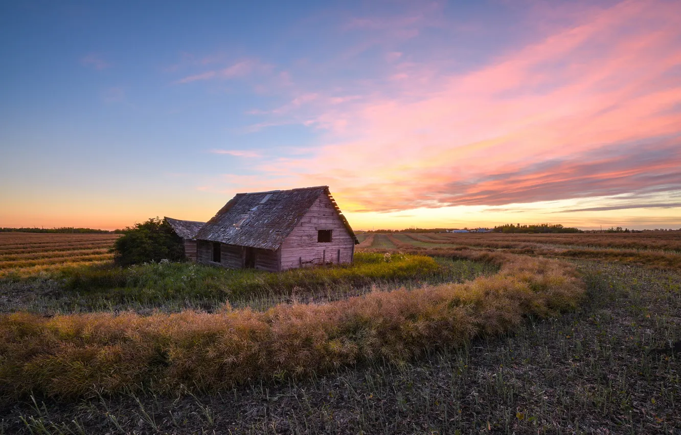 Photo wallpaper field, sunset, house