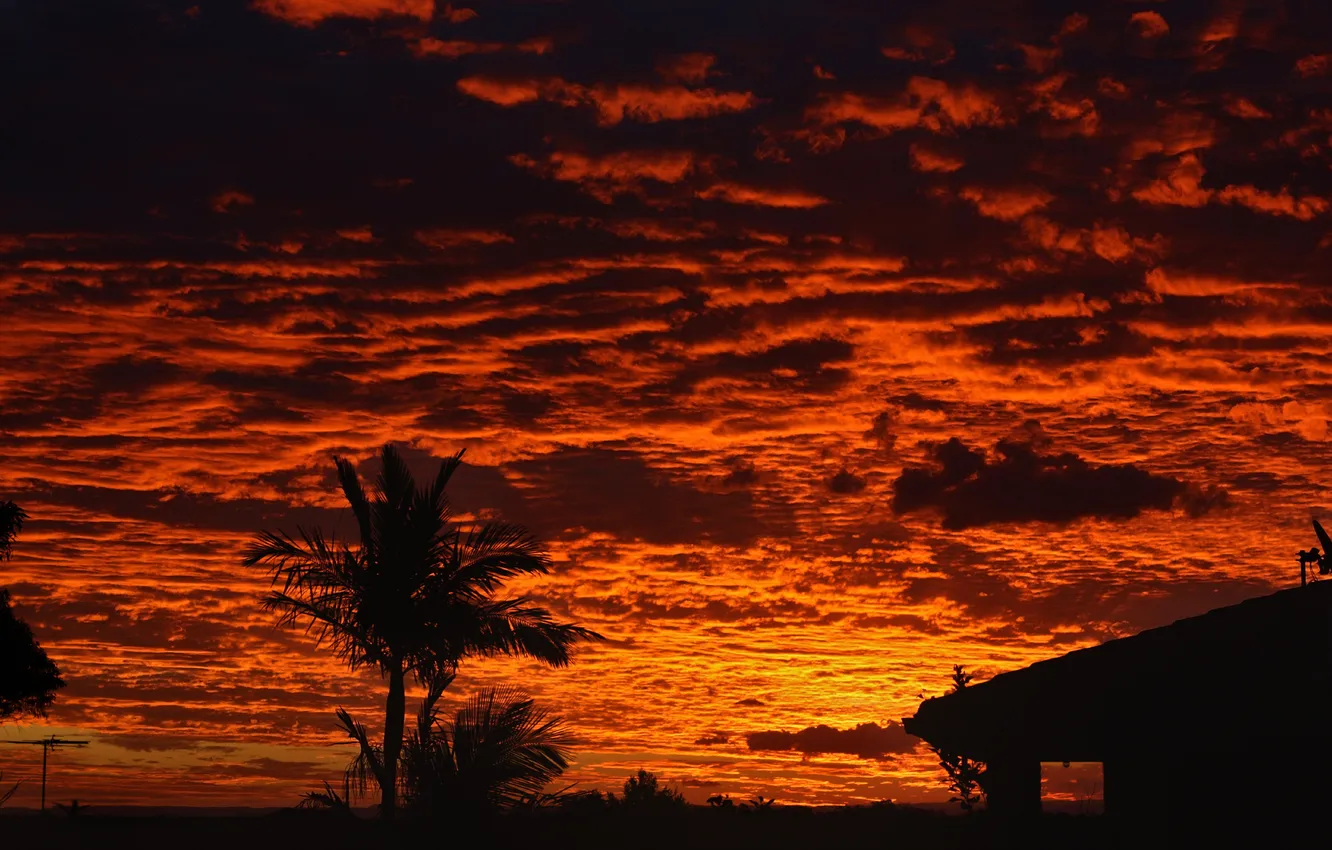 Photo wallpaper landscape, nature, nature