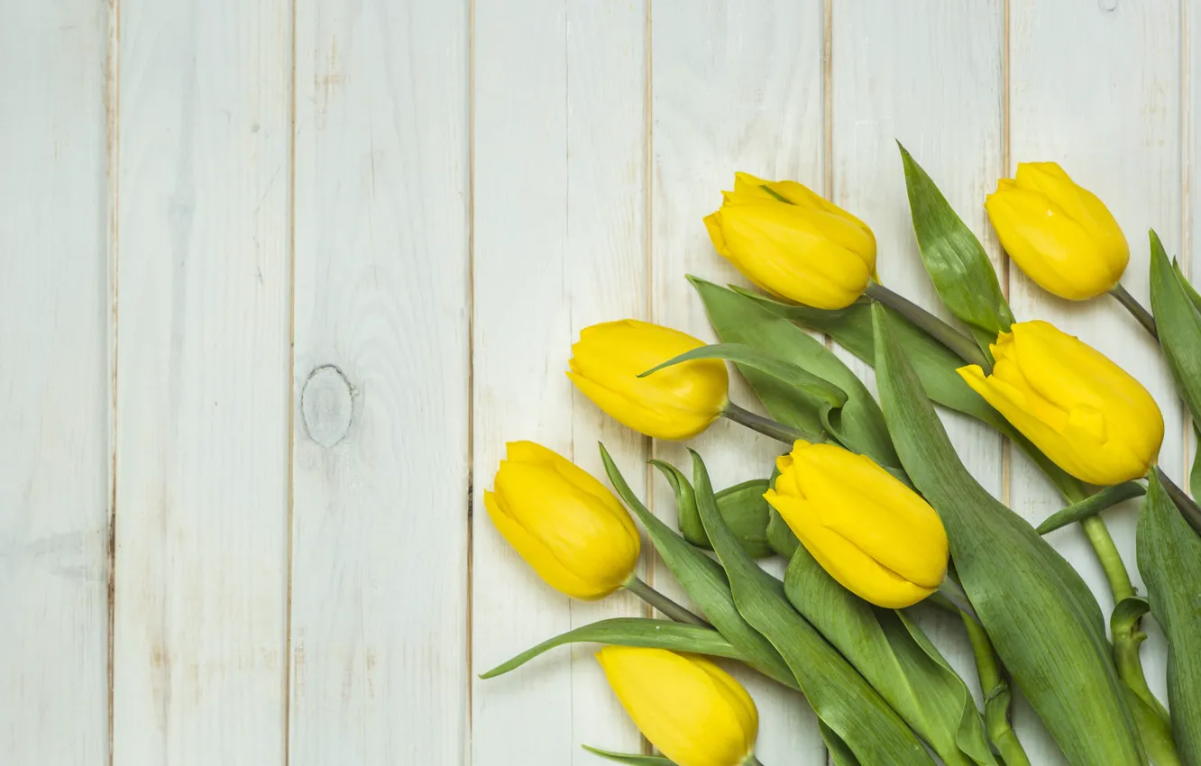 Photo wallpaper flowers, bouquet, yellow, tulips, fresh, yellow, wood, flowers