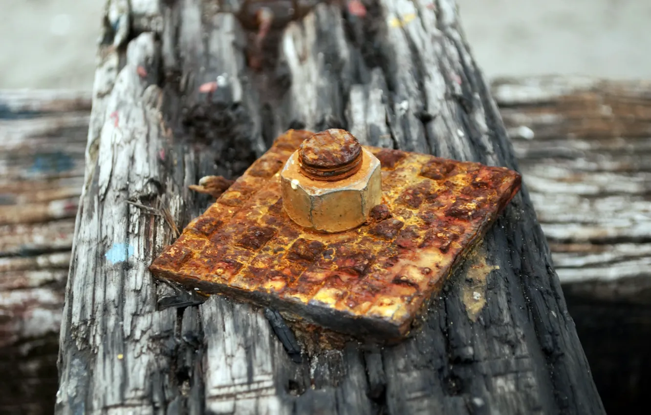Photo wallpaper trees, bolt, nuts