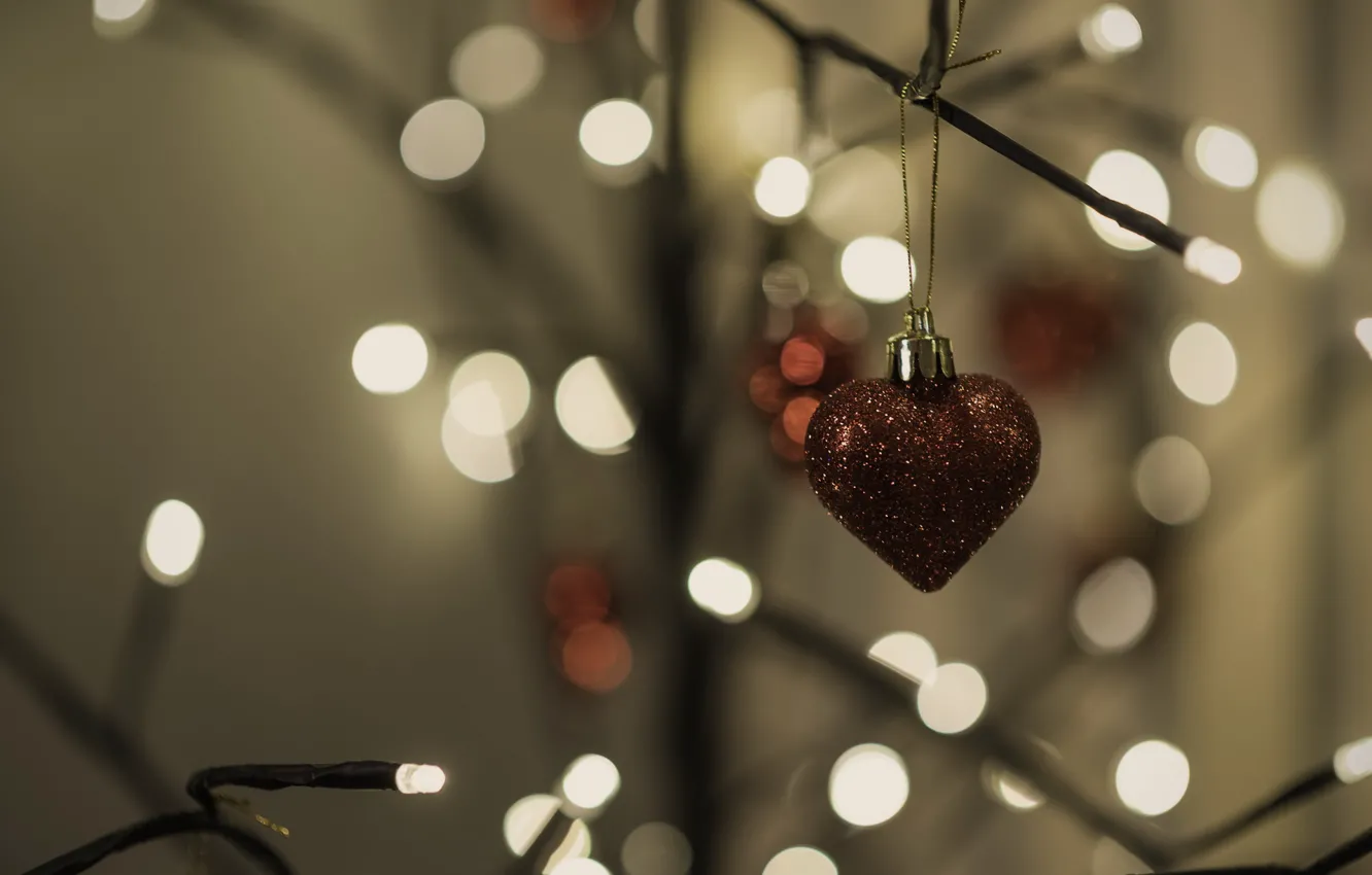 Photo wallpaper macro, background, toy