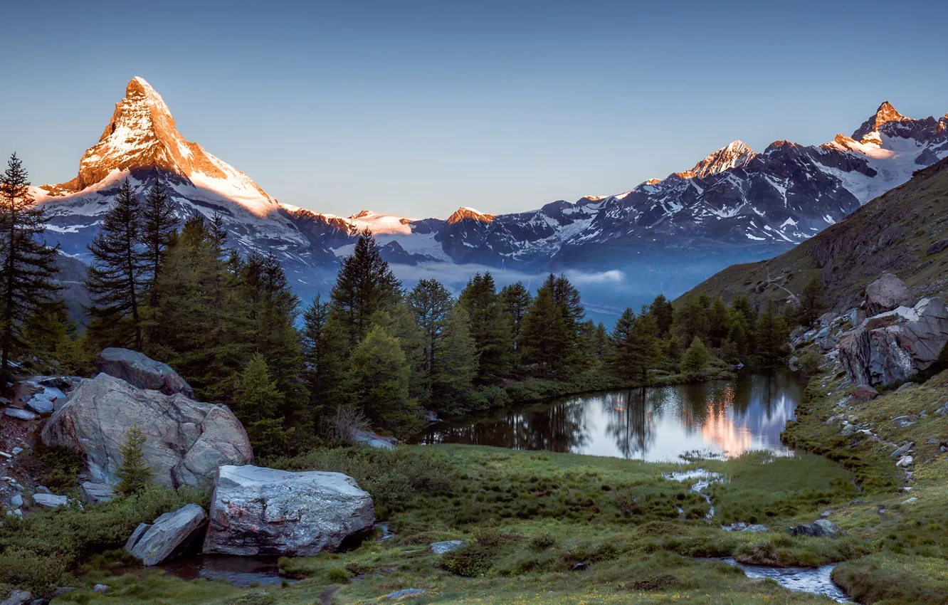 Photo wallpaper trees, mountains, Switzerland, Alps, Switzerland, Alps, Zermatt, Zermatt