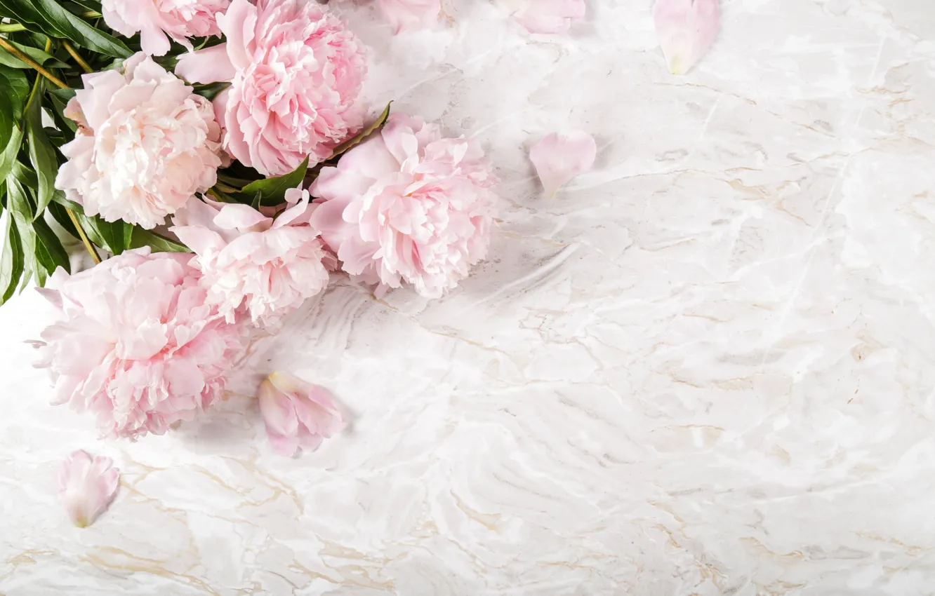 Photo wallpaper flowers, bouquet, clove