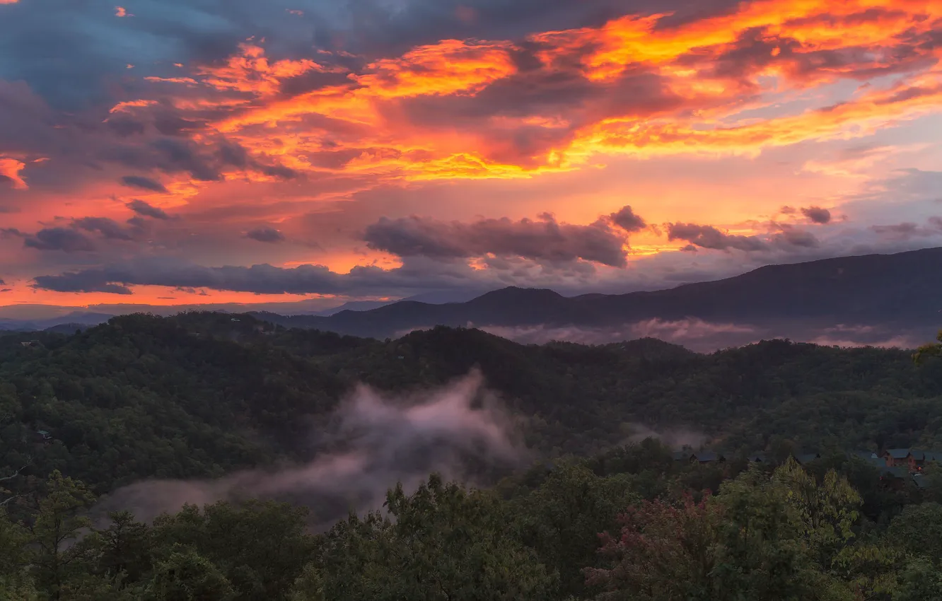 Photo wallpaper forest, the sky, clouds, sunset, mountains, fog, dawn, hills
