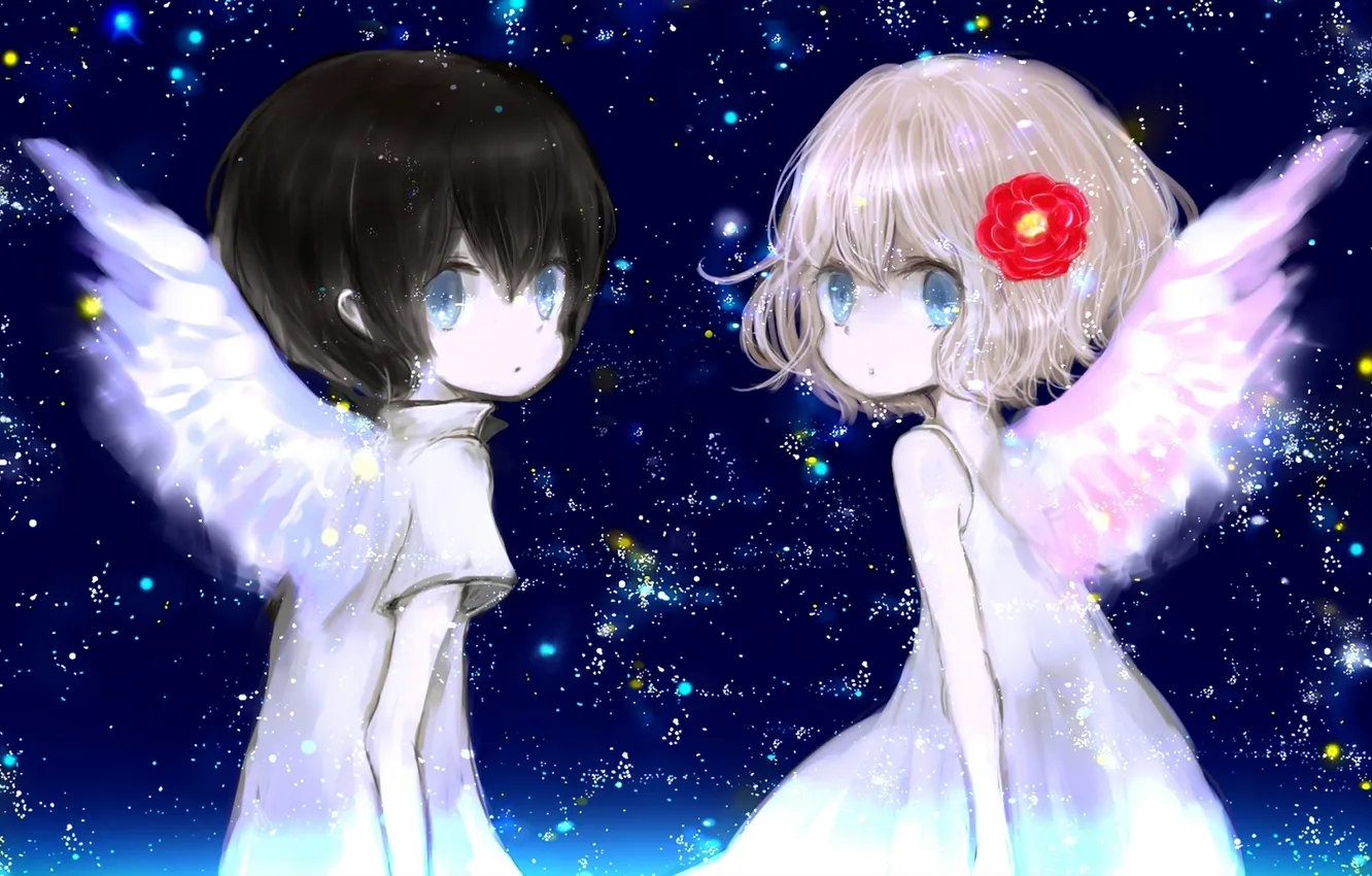 Photo wallpaper the sky, stars, flowers, wings, anime, boy, art, girl