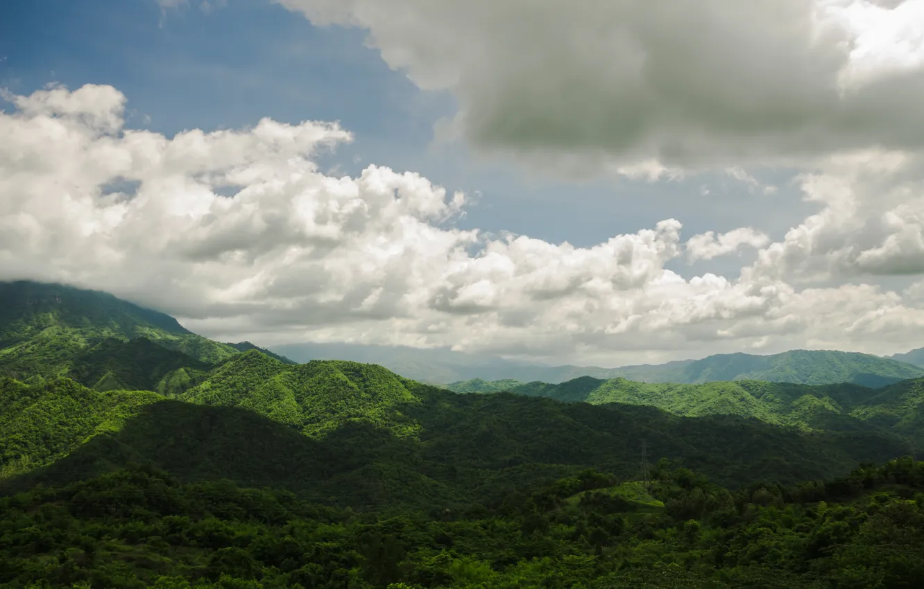 Photo wallpaper green, grass, forest, landscape, nature, blue, panorama, beautiful