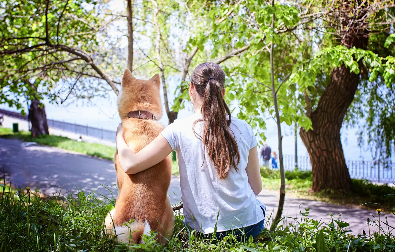 Photo wallpaper greens, girl, the sun, trees, river, dog, jeans, t-shirt