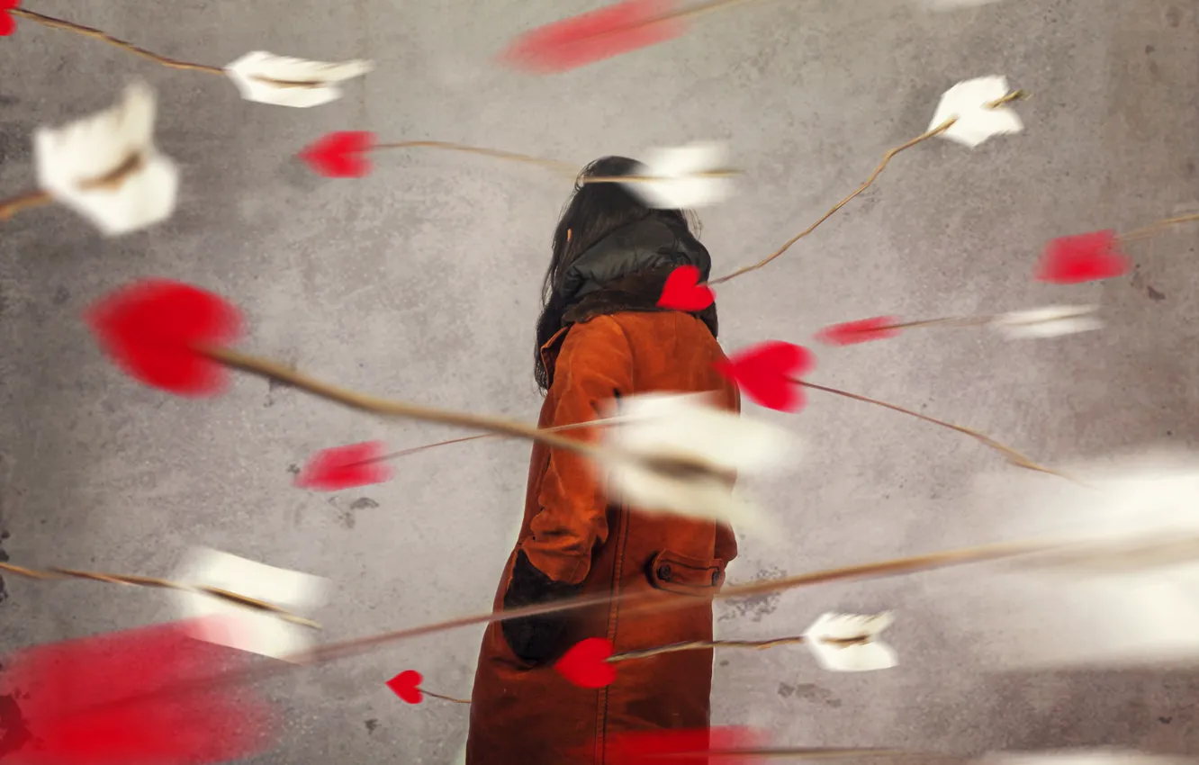 Photo wallpaper girl, arrows, by